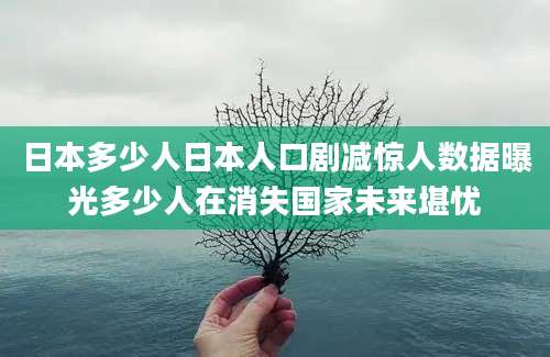 日本多少人日本人口剧减惊人数据曝光多少人在消失国家未来堪忧