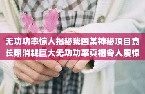 无功功率惊人揭秘我国某神秘项目竟长期消耗巨大无功功率真相令人震惊