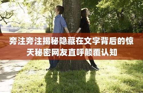 旁注旁注揭秘隐藏在文字背后的惊天秘密网友直呼颠覆认知