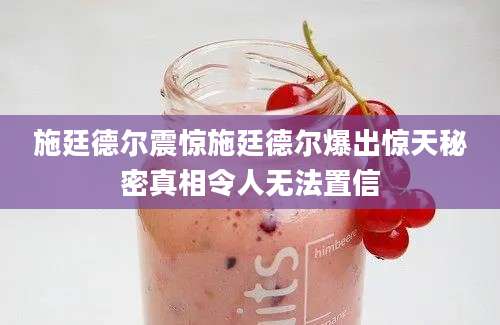 施廷德尔震惊施廷德尔爆出惊天秘密真相令人无法置信