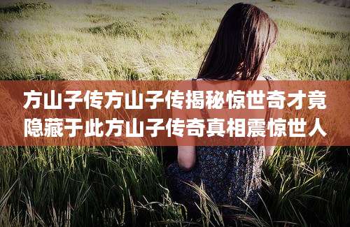 方山子传方山子传揭秘惊世奇才竟隐藏于此方山子传奇真相震惊世人