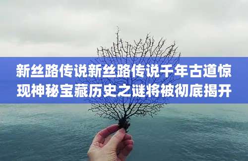 新丝路传说新丝路传说千年古道惊现神秘宝藏历史之谜将被彻底揭开