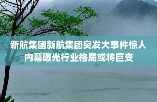 新航集团新航集团突发大事件惊人内幕曝光行业格局或将巨变