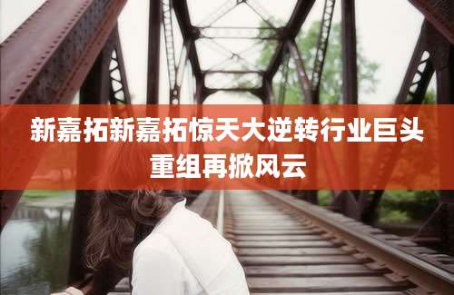 新嘉拓新嘉拓惊天大逆转行业巨头重组再掀风云