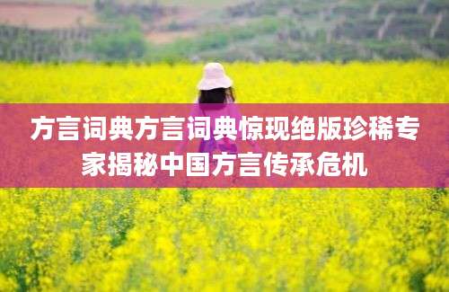 方言词典方言词典惊现绝版珍稀专家揭秘中国方言传承危机