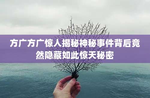 方广方广惊人揭秘神秘事件背后竟然隐藏如此惊天秘密