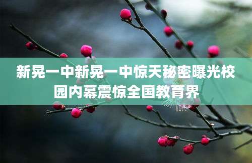 新晃一中新晃一中惊天秘密曝光校园内幕震惊全国教育界