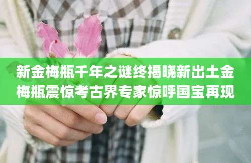 新金梅瓶千年之谜终揭晓新出土金梅瓶震惊考古界专家惊呼国宝再现