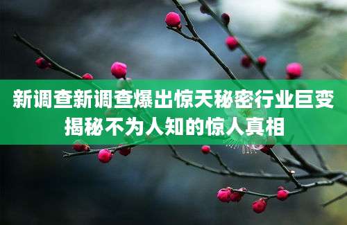 新调查新调查爆出惊天秘密行业巨变揭秘不为人知的惊人真相