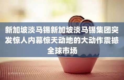 新加坡淡马锡新加坡淡马锡集团突发惊人内幕惊天动地的大动作震撼全球市场