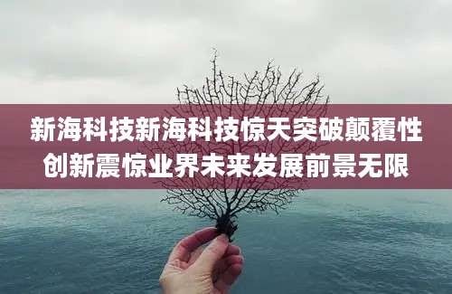 新海科技新海科技惊天突破颠覆性创新震惊业界未来发展前景无限