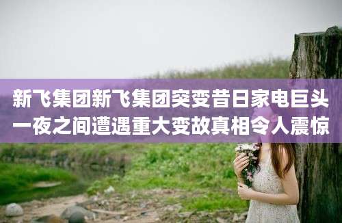 新飞集团新飞集团突变昔日家电巨头一夜之间遭遇重大变故真相令人震惊