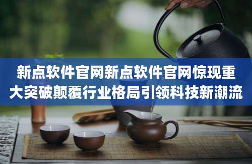 新点软件官网新点软件官网惊现重大突破颠覆行业格局引领科技新潮流
