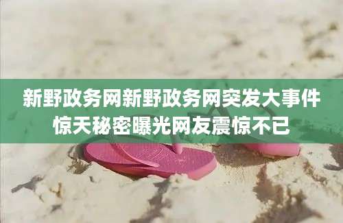 新野政务网新野政务网突发大事件惊天秘密曝光网友震惊不已
