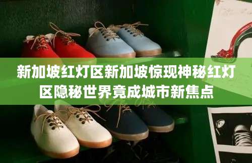 新加坡红灯区新加坡惊现神秘红灯区隐秘世界竟成城市新焦点