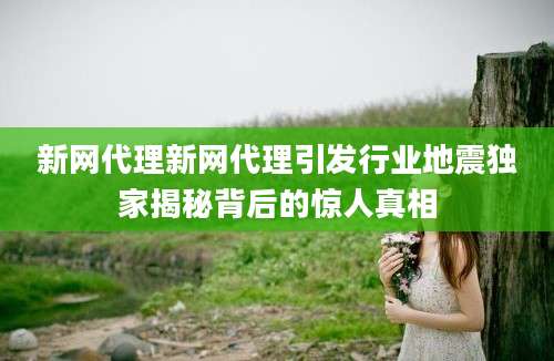 新网代理新网代理引发行业地震独家揭秘背后的惊人真相