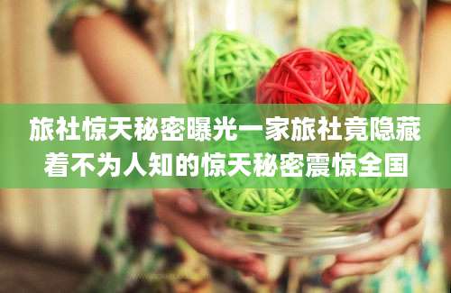 旅社惊天秘密曝光一家旅社竟隐藏着不为人知的惊天秘密震惊全国
