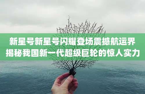 新星号新星号闪耀登场震撼航运界揭秘我国新一代超级巨轮的惊人实力