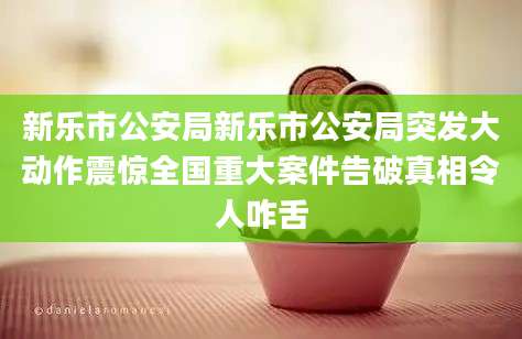 新乐市公安局新乐市公安局突发大动作震惊全国重大案件告破真相令人咋舌