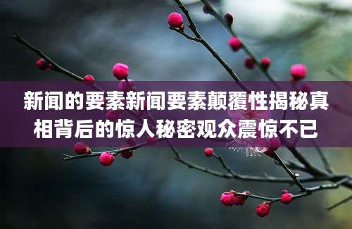 新闻的要素新闻要素颠覆性揭秘真相背后的惊人秘密观众震惊不已