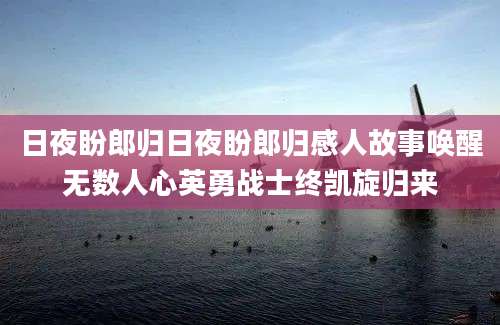 日夜盼郎归日夜盼郎归感人故事唤醒无数人心英勇战士终凯旋归来