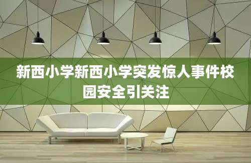 新西小学新西小学突发惊人事件校园安全引关注