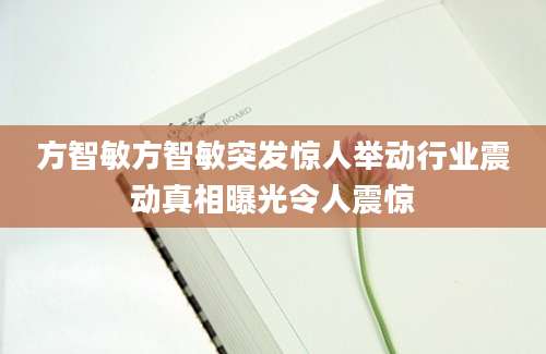 方智敏方智敏突发惊人举动行业震动真相曝光令人震惊