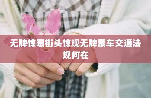 无牌惊曝街头惊现无牌豪车交通法规何在