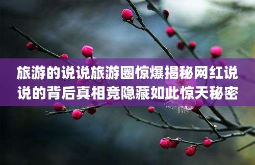 旅游的说说旅游圈惊爆揭秘网红说说的背后真相竟隐藏如此惊天秘密
