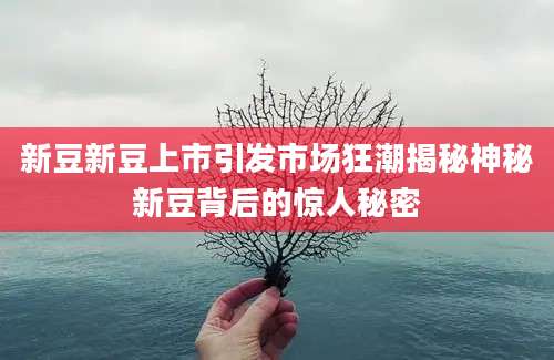新豆新豆上市引发市场狂潮揭秘神秘新豆背后的惊人秘密