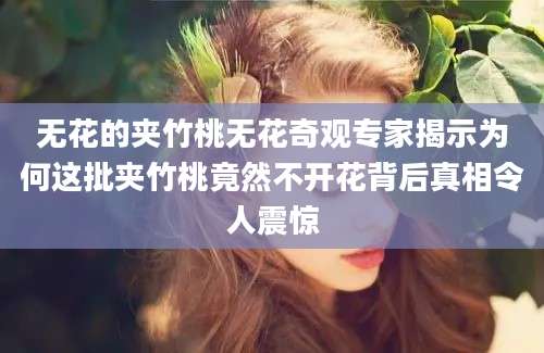 无花的夹竹桃无花奇观专家揭示为何这批夹竹桃竟然不开花背后真相令人震惊