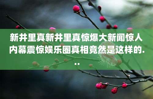 新井里真新井里真惊爆大新闻惊人内幕震惊娱乐圈真相竟然是这样的...