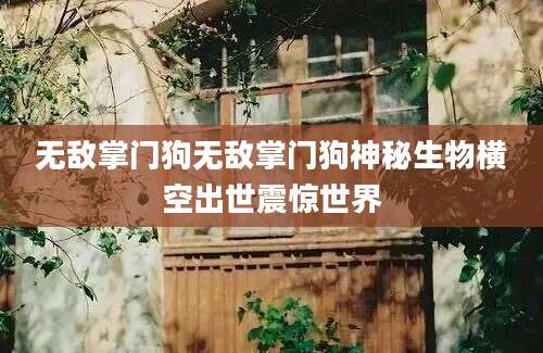 无敌掌门狗无敌掌门狗神秘生物横空出世震惊世界