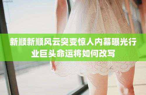 新顺新顺风云突变惊人内幕曝光行业巨头命运将如何改写