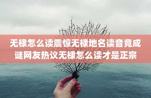 无棣怎么读震惊无棣地名读音竟成谜网友热议无棣怎么读才是正宗