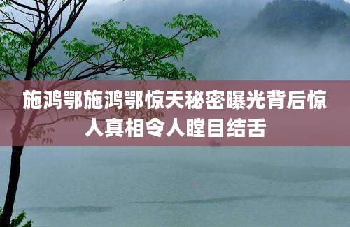 施鸿鄂施鸿鄂惊天秘密曝光背后惊人真相令人瞠目结舌