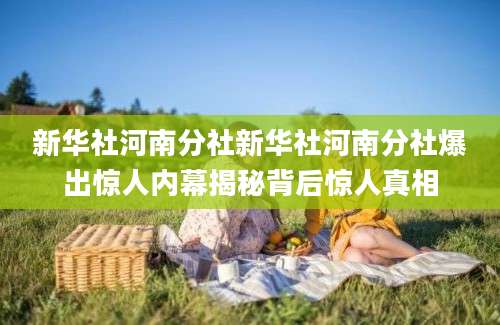 新华社河南分社新华社河南分社爆出惊人内幕揭秘背后惊人真相