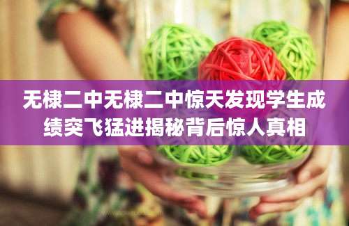 无棣二中无棣二中惊天发现学生成绩突飞猛进揭秘背后惊人真相