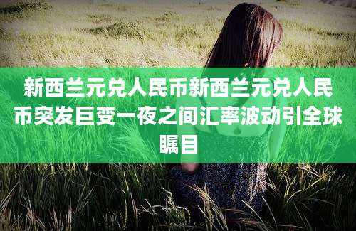 新西兰元兑人民币新西兰元兑人民币突发巨变一夜之间汇率波动引全球瞩目