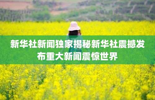 新华社新闻独家揭秘新华社震撼发布重大新闻震惊世界