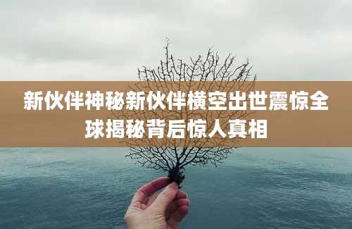 新伙伴神秘新伙伴横空出世震惊全球揭秘背后惊人真相