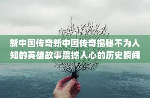 新中国传奇新中国传奇揭秘不为人知的英雄故事震撼人心的历史瞬间