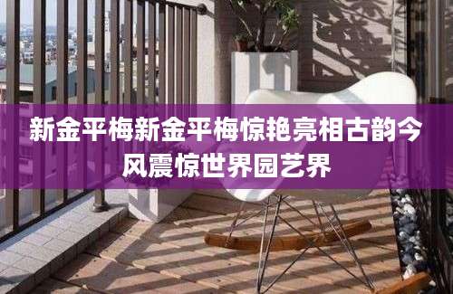 新金平梅新金平梅惊艳亮相古韵今风震惊世界园艺界