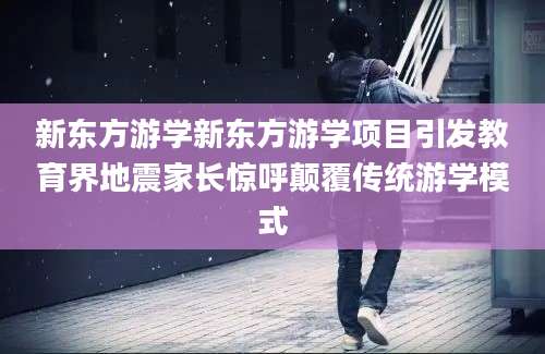 新东方游学新东方游学项目引发教育界地震家长惊呼颠覆传统游学模式