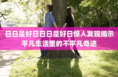 日日是好日日日是好日惊人发现揭示平凡生活里的不平凡奇迹