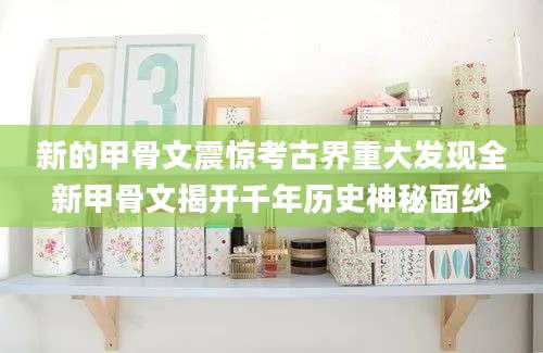 新的甲骨文震惊考古界重大发现全新甲骨文揭开千年历史神秘面纱