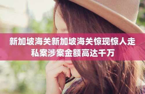 新加坡海关新加坡海关惊现惊人走私案涉案金额高达千万