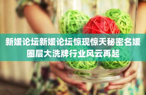 新媛论坛新媛论坛惊现惊天秘密名媛圈层大洗牌行业风云再起