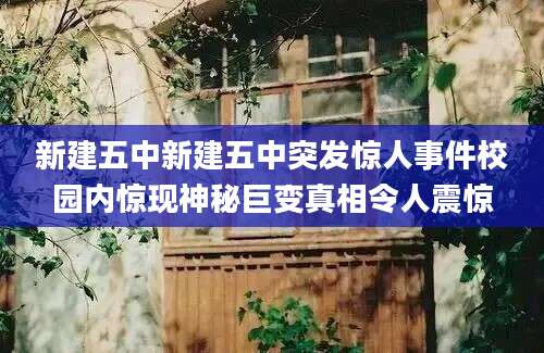 新建五中新建五中突发惊人事件校园内惊现神秘巨变真相令人震惊