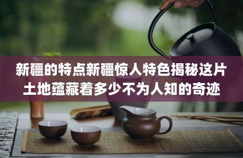 新疆的特点新疆惊人特色揭秘这片土地蕴藏着多少不为人知的奇迹